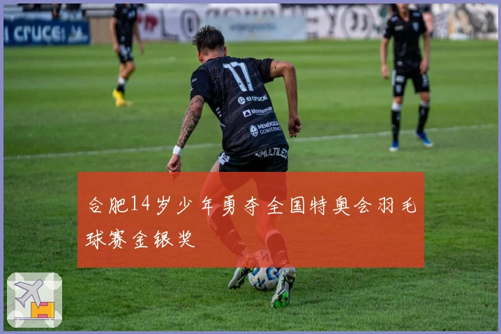 合肥14岁少年勇夺全国特奥会羽毛球赛金银奖